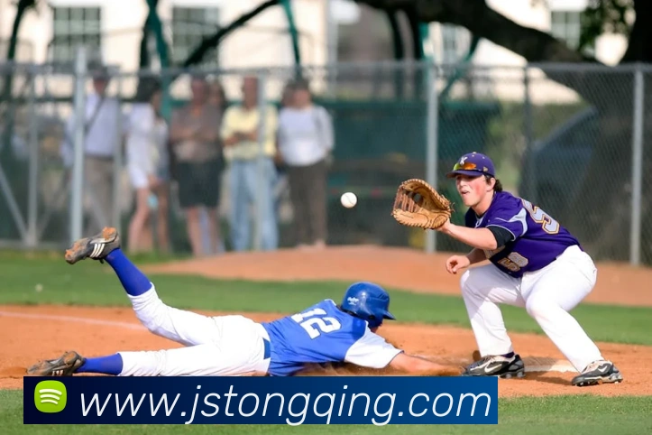 mksports在线登录入口平台生态图