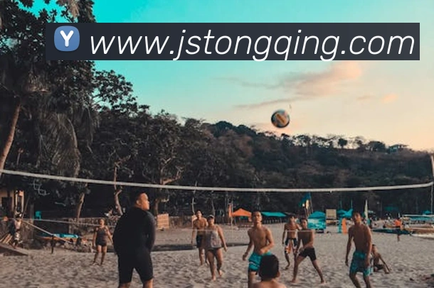 mksports在线登录入口全站App